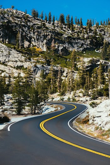 Highway in Forest