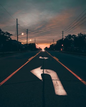 highway near trees during golden hour