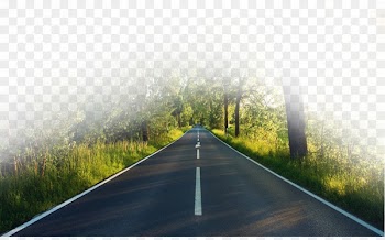 Highway Road - Forest road 
