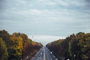 Highway Through Fall Wood