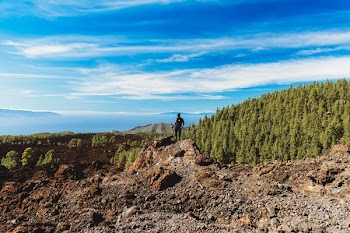 Hiker Looking Into The Distance