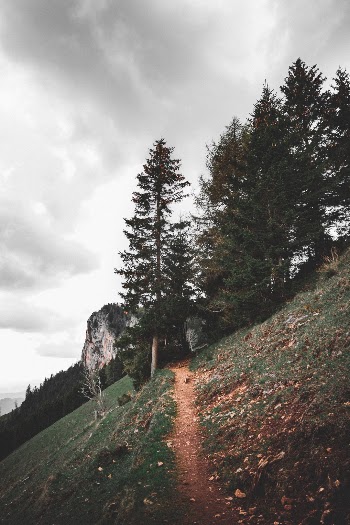 Hiking in Austria.