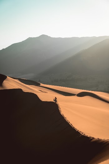Hiking in the Great Sand Dunes National Park the morning light covered the dunes for miles to come. 