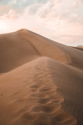 Hiking in the Great Sand Dunes National Park the morning light covered the dunes for miles to come. 