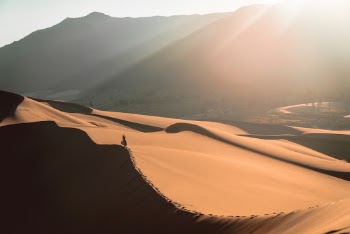 Hiking in the Great Sand Dunes National Park the morning light covered the dunes for miles to come. 