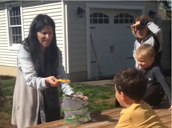Hilarious video of dog eating butterfly released by family | 95.3 ...