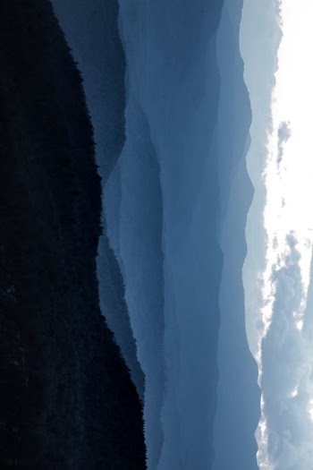 Hills covered with dense forest and clouds · Free Stock Photo