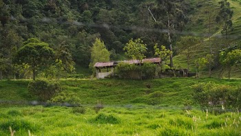 Hillside Shelter