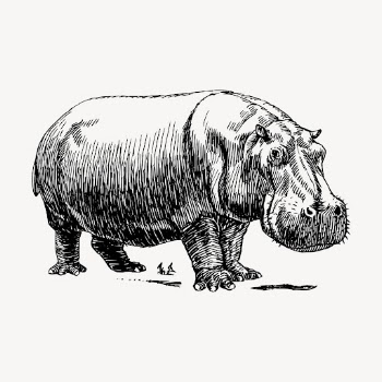 Hippopotamus animal clipart, vintage illustration | Free Vector - rawpixel