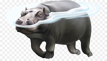 Hippopotamus Rhinoceros Polar bear Illustration - Water Hippo 