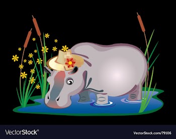 Hippopotamus vector image