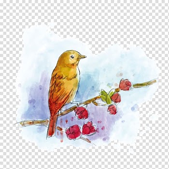 His Eye Is on the Sparrow Gospel of Matthew Poster, Watercolor Birds transparent background PNG clipart