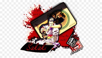 Hisoka Illustration Cartoon Character Font - hanzo frame 