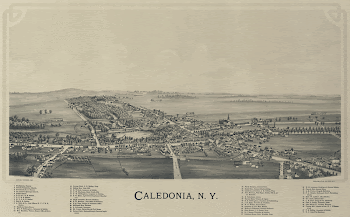 Historic aerial depiction of Caledonia, | Free Photo - rawpixel