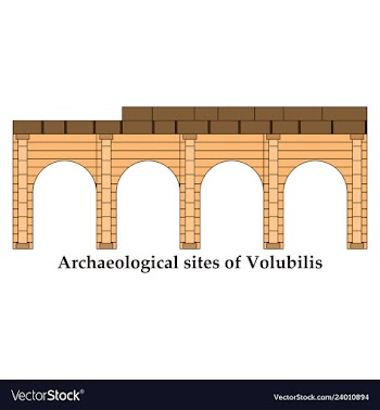Historical landmark of volubilis city in morocco vector image