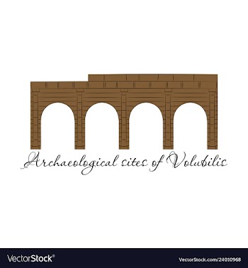 Historical landmark of volubilis city in morocco vector image