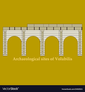 Historical landmark of volubilis city in morocco vector image