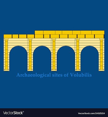 Historical landmark of volubilis city in morocco vector image