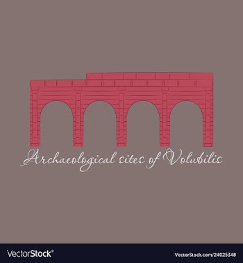 Historical landmark of volubilis city in morocco vector image