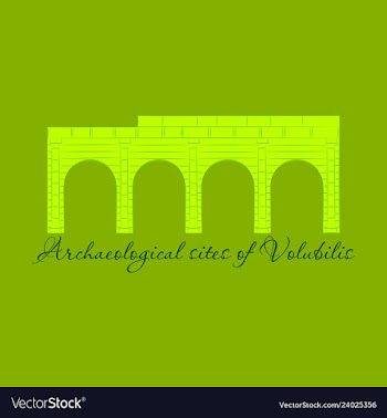 Historical landmark of volubilis city in morocco vector image