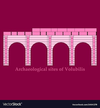Historical landmark of volubilis city in morocco vector image