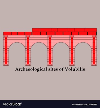 Historical landmark of volubilis city in morocco vector image