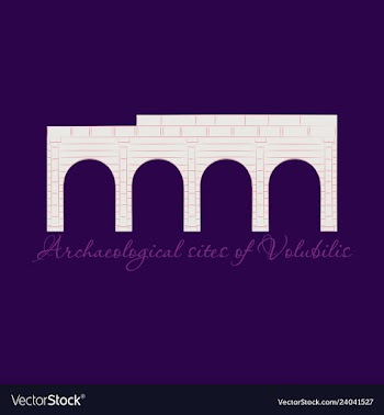 Historical landmark of volubilis city in morocco vector image