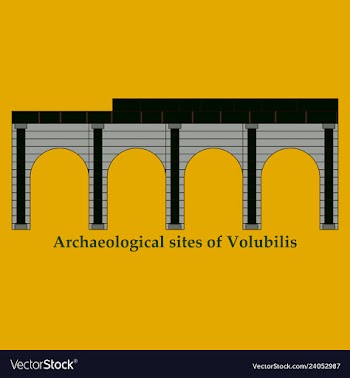 Historical landmark of volubilis city in morocco vector image