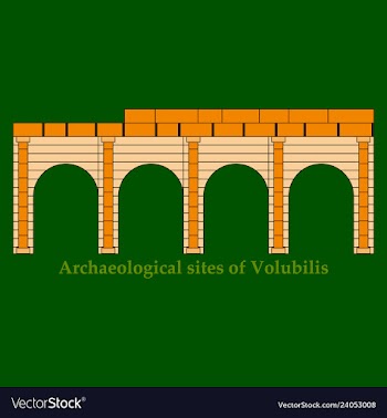 Historical landmark of volubilis city in morocco vector image