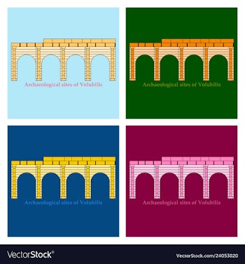 Historical landmark of volubilis city in morocco vector image