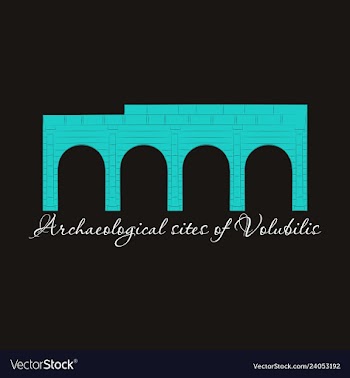 Historical landmark of volubilis city in morocco vector image