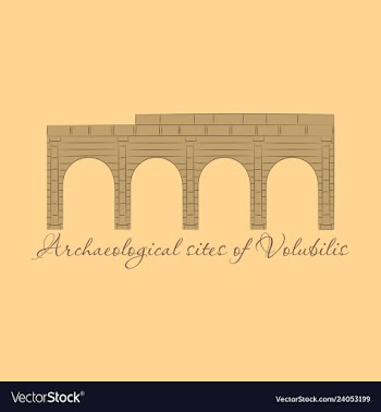 Historical landmark of volubilis city in morocco vector image