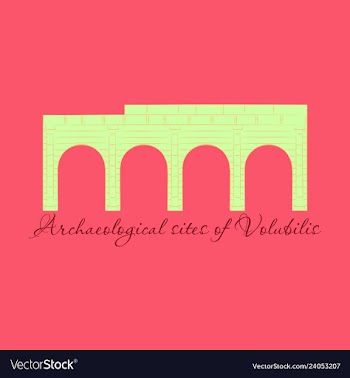 Historical landmark of volubilis city in morocco vector image