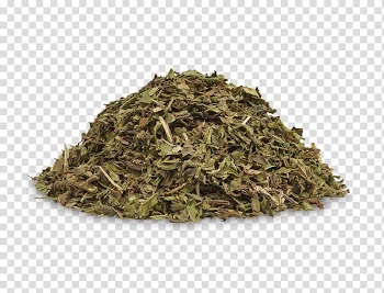 Hōjicha Nilgiri tea Earl Grey tea Lady Grey, tea transparent background PNG clipart