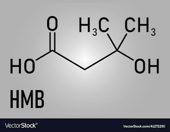 hmb leucine metabolite molecule skeletal formula