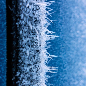 Hoar frost on a blue | Free Photo - rawpixel