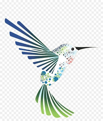 Hobe Sound Prodim USA Fort Pierce Illinois Commercial Circle - hummingbird moth ohio 