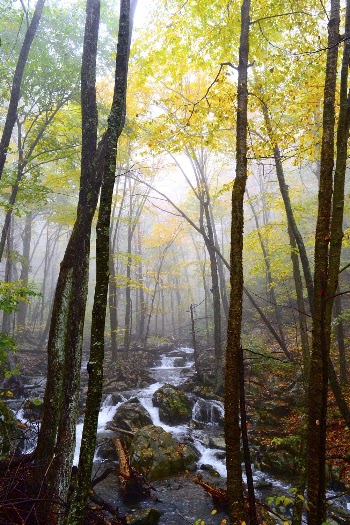 Hogcamp Branch, waterfall image. Free | Free Photo - rawpixel