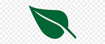 Hoja - Leaf