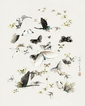 Hokusai's Butterflies and Moths (1830-1850). | Free Photo Illustration - rawpixel