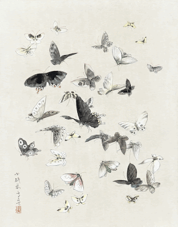 Hokusai's Butterflies and Moths (1830-1850). | Free Photo Illustration - rawpixel