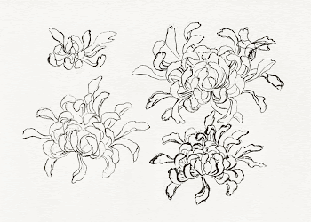 Hokusai's chrysanthemum, vintage painting. Original | Free Photo Illustration - rawpixel