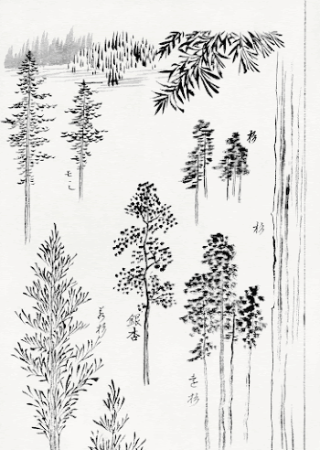 Hokusai's pine trees (1800-1900) vintage | Free Photo Illustration - rawpixel