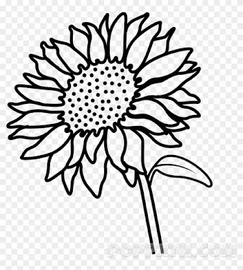 Hold Either A Yellow Or Orange Pencil - Flower