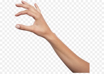 Holding hands Icon - Hands PNG, hand image free 