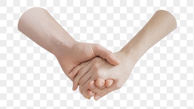 Holding hands png sticker, transparent | Free PNG - rawpixel