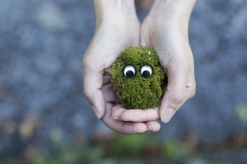 Holding Moss Free Photo 