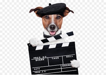 Holding the sign of the dog card 