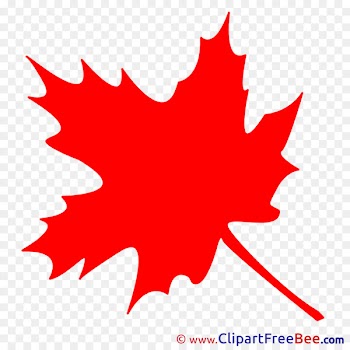Holi Color Clip art - maple leaf 