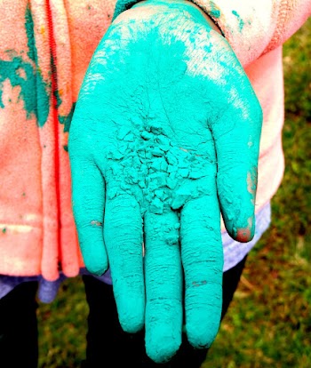 Holi color on hand, Indian | Free Photo - rawpixel
